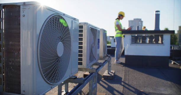 Air Duct Mold Removal in Bernie, MO